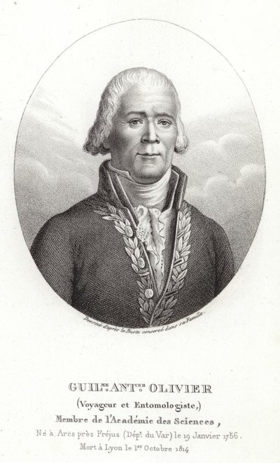 Guillaume Antoine Olivier von French School