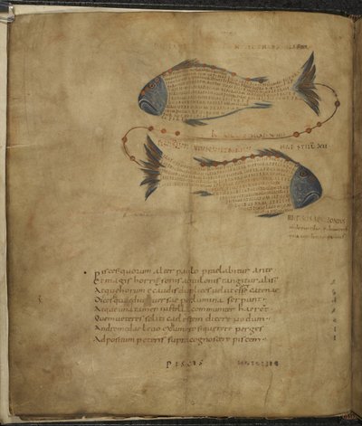Illustration des Sternbildes Fische, aus 