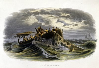 Heringsfischen - in „Histoire naturelle de Lacepède“ von French School