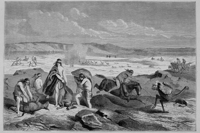 Jagd auf Guanako und Nandu in Argentinien von French School
