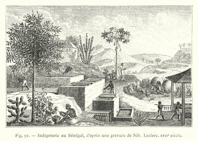 Indigoproduktion im Senegal, nach einem Stich von Seb. Leclerc, 17. Jahrhundert (Gravur) von French School