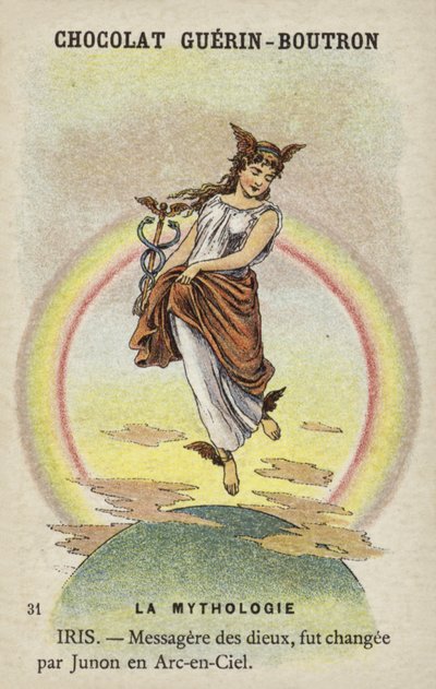 Iris von French School