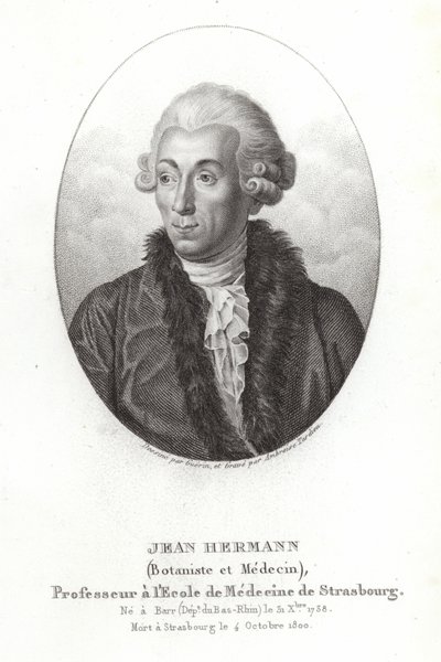 Jean Hermann von French School