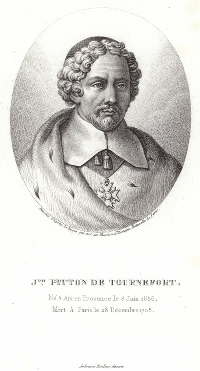Joseph Pitton de Tournefort von French School