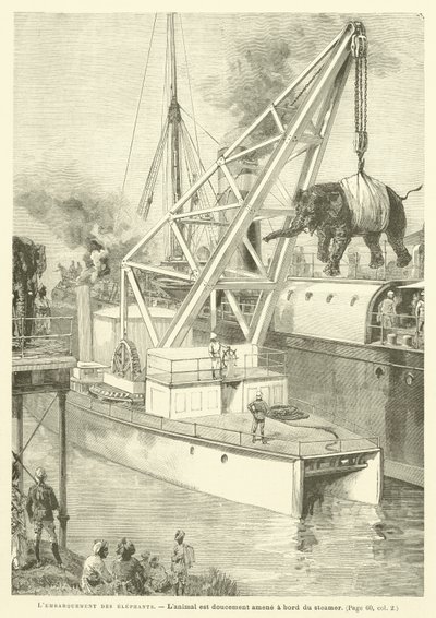 Das Verladen der Elefanten (Stich) von French School