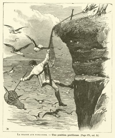 Die Pinguinjagd (Stich) von French School