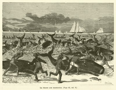 La chasse aux marsouins (Stich) von French School