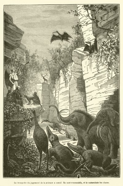 Die Trompete des Urteils der Wissenschaft hat geblasen (Gravur) von French School