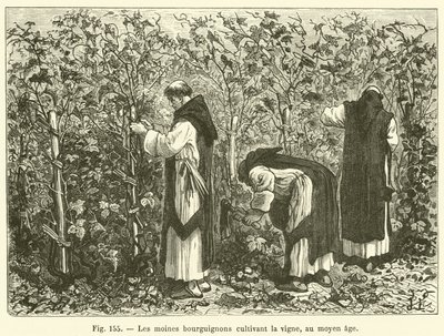 Die burgundischen Mönche, die im Mittelalter den Weinberg kultivierten von French School