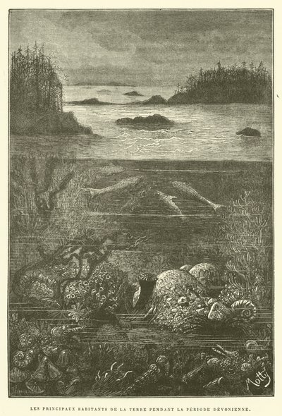 Die Hauptbewohner der Erde während der Devonzeit von French School