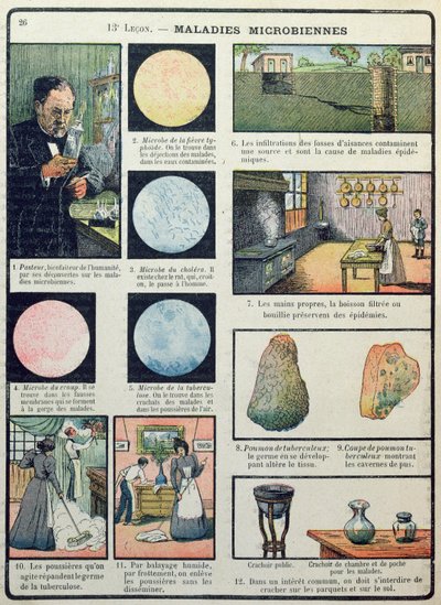 Louis Pasteur (1822-95) und bakterielle Krankheiten, aus Les Sciences Physiques et Naturelles, Paris, 1908 von French School