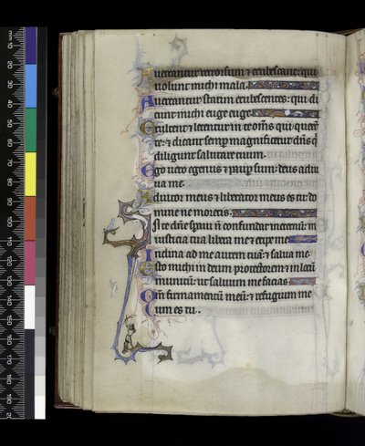 Aus dem Psalter und Stundenbuch der Isabella von Frankreich, Paris, um 1265-70 von French School