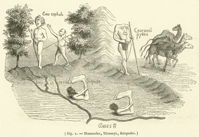 Monokel, Blemmys, Sciopoden (Gravur) von French School