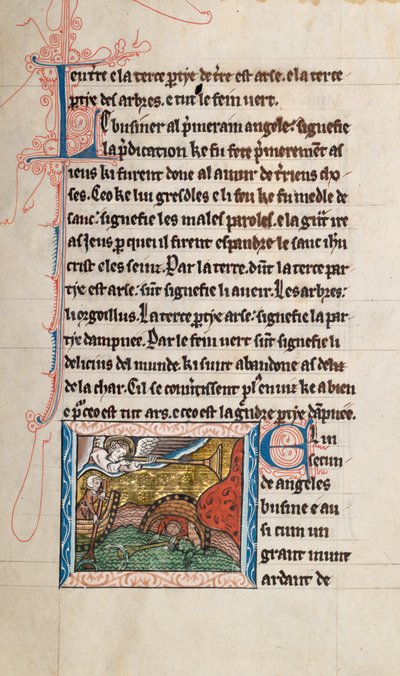 Ms65 f28r, Kommentar zur Apokalypse des Heiligen Johannes, spätes 13. Jahrhundert von French School