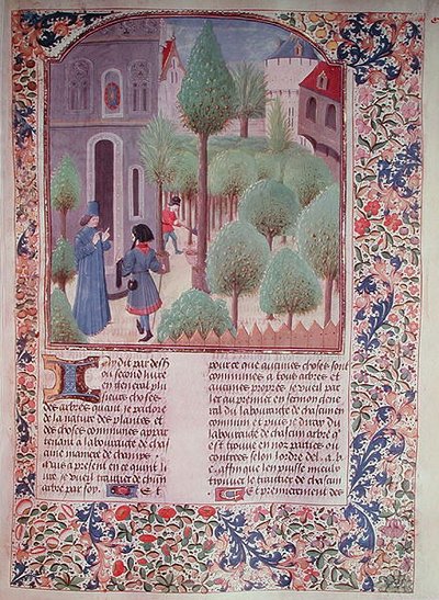 Ms 5064 fol.105r Bäume pflanzen, aus Livre des Prouffitz Champestres von Pietro de Crescenzi (1230-132021) von French School