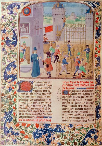 Ms 5064 fol.68v Arbeit im Weinberg, aus Livre des Prouffitz Champestres von Pietro de Crescenzi (1230-1321) von French School