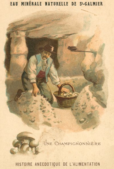Pilzzüchter von French School