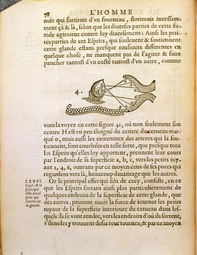 Optisches Diagramm, aus De Homine Figuris von René Descartes, veröffentlicht in Den Haag, 1662 von French School