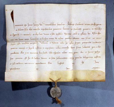 Päpstliche Bulle von Papst Innozenz IV. (gest. 1254) gegen die Albigenser von French School