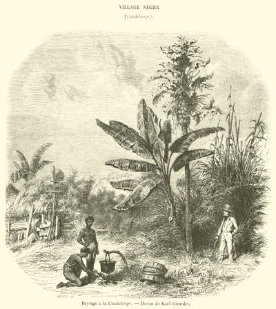 Landschaft in Guadeloupe von French School