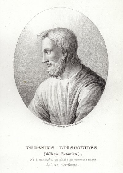Pedanius Dioscorides von French School