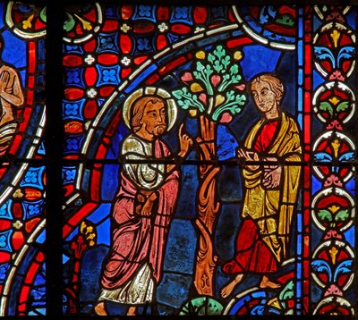 Philippus, Nathanael, Feigenbaum von French School