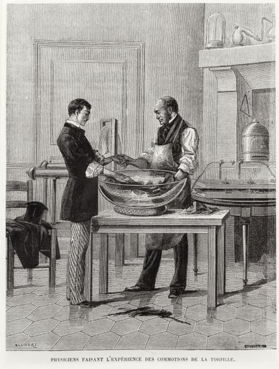 Physiker experimentieren an einem Torpedo, 2. Hälfte des 19. Jahrhunderts von French School
