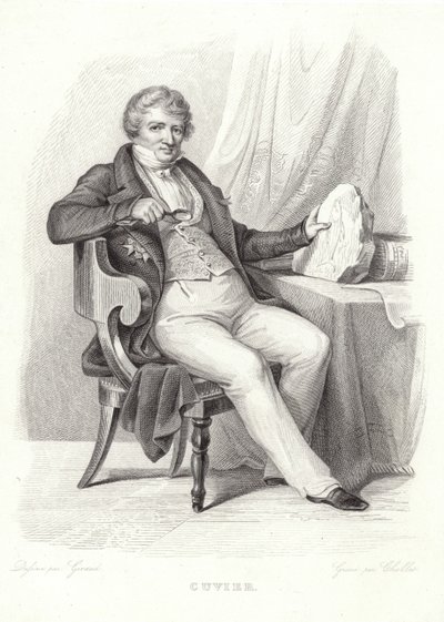 Porträt von Georges Cuvier von French School