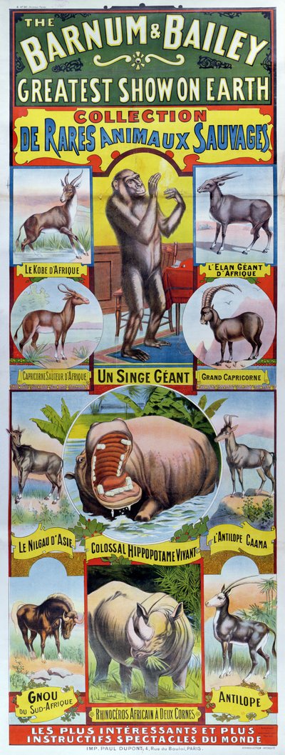 Plakat zur Werbung für die Sammlung seltener Wildtiere für den Barnum und Bailey Zirkus von French School
