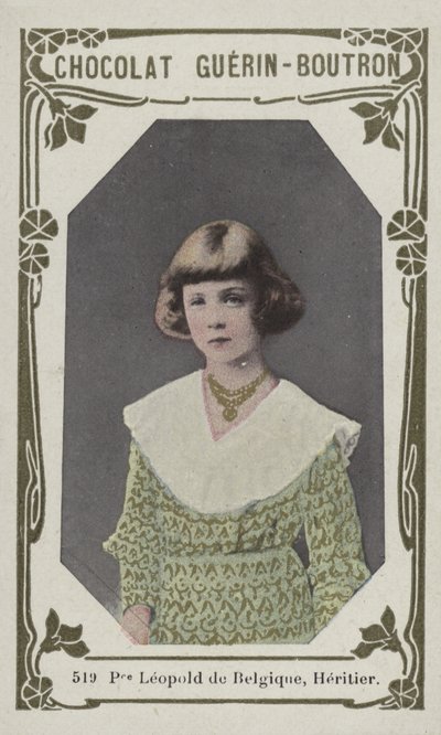 Prinz Leopold von Belgien, Erbe von French School