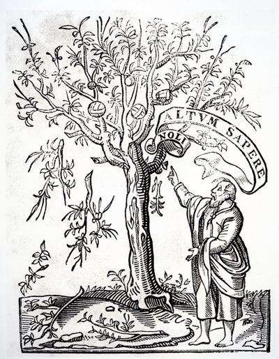 Druckeremblem von Robert Estienne, Paris, 1526 von French School