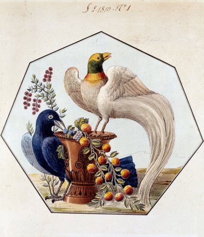 Projekt für den Tisch der Vögel in Porzellan von Alexandre Brongniart (1770-1847). 1810 Sèvres, Archive der Manufacture de Sèvres von French School