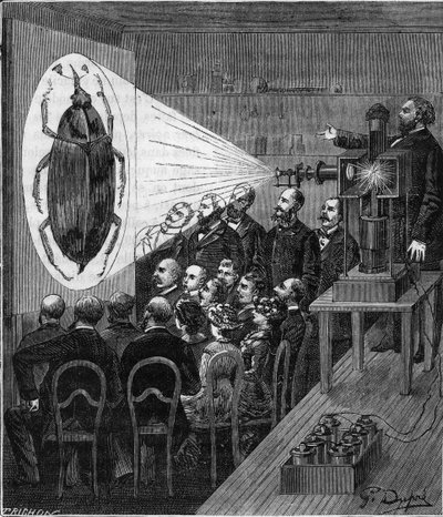 Projektionserfahrung mit dem elektrischen Fotomikroskop (Jules Duboscq Projektionslaternen) - Kupferstich in „Wissenschaften für alle - Populäre Physik und Chemie“ von Alexis Clerc - Ende 19. Jahrhundert - Private Sammlung von French School