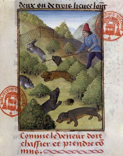 Kaninchenjagd - aus „Hunting Book of Gaston Phoebus, Count of Foix, Lord of Béarn“ von French School