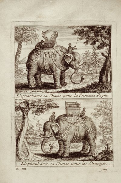 Königliche Elefanten, aus Voyage du Siam des Peres Jesuites von Guy Tachard, 1688 von French School