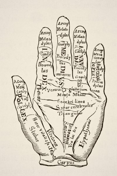 Exemplar der linken Hand mit den Linien und ihren horoskopischen Bezeichnungen, aus 