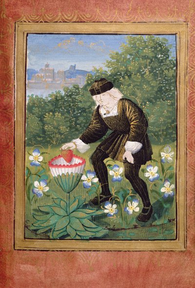 Miniatur von Pierre Sala, der 