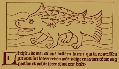 Der Seehund von French School