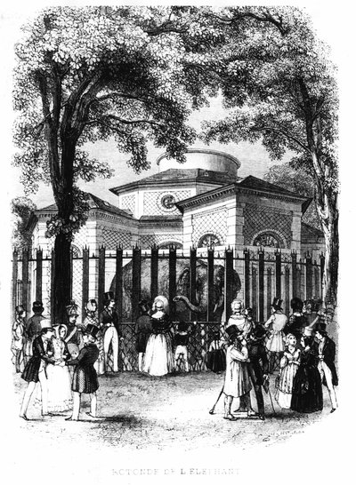 Die Elefantenrotunde des Jardin des Plantes in Paris von French School