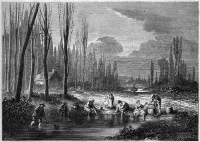 Der Blutegel-Fang in der Nähe von Versailles von French School