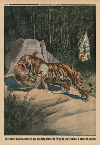 Tiger greift einen britischen Offizier an, Rückseitige Illustration aus 