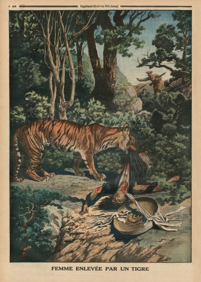 Tiger greift eine Frau an, Rückseitenillustration aus 