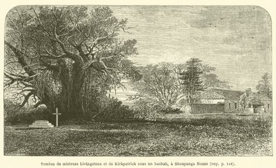 Gräber von Mistress Livingstone und Kirkpatrick unter einem Baobab, bei Shoupanga House von French School
