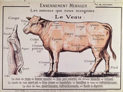 Kalbfleisch: Diagramm der verschiedenen Fleischstücke von French School