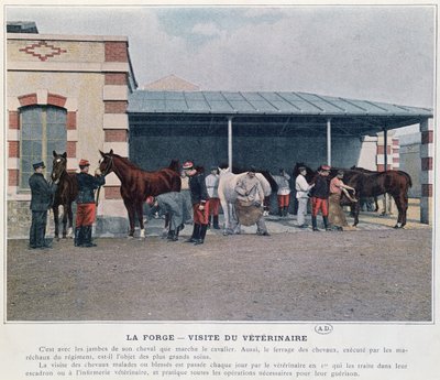 Besuch des Armeeveterinärs in der Kaserne, 1897 von French School