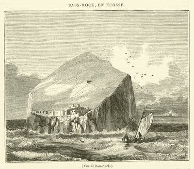 Ansicht von Bass-Rock (Gravur) von French School