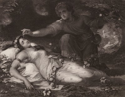 Shakespeare: Ein Sommernachtstraum von Friedrich Schwoerer