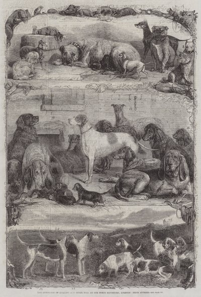 Die Ausstellung von Sport- und anderen Hunden im Horse Repository, Holborn, Preisgekrönte Tiere von Friedrich Wilhelm Keyl