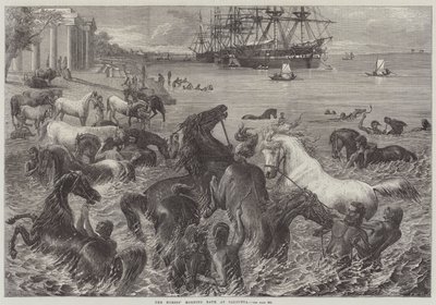 Das morgendliche Bad der Pferde in Kalkutta von Friedrich Wilhelm Keyl