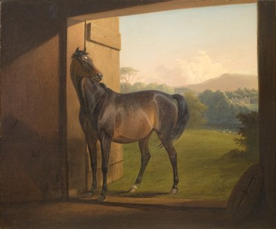 Reveller Stute von Fritz Thomsen